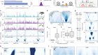 Multiscale footprints reveal the organization of cis-regulatory elements