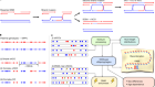 Complete human recombination maps