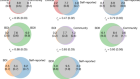 Genomics yields biological and phenotypic insights into bipolar disorder