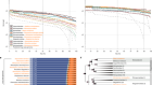 Bat genomes illuminate adaptations to viral tolerance and disease resistance