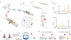 Multiplexed entanglement of multi-emitter quantum network nodes