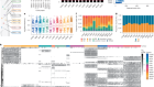 Tumour-wide RNA splicing aberrations generate actionable public neoantigens