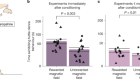 Learned magnetic map cues and two mechanisms of magnetoreception in turtles