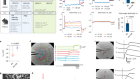 Intrinsic electrical activity drives small-cell lung cancer progression