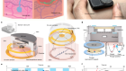 A non-contact wearable device for monitoring epidermal molecular flux