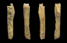 Denisovan hybrid cave yields four more hominin bones