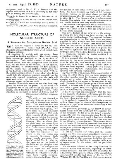 essay on the discovery of dna