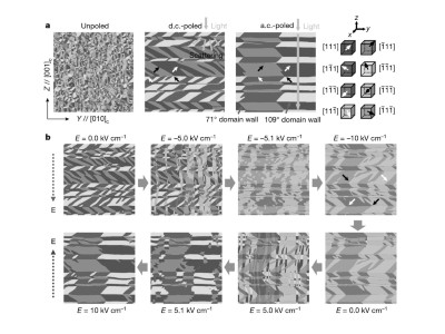 Transparent Crystals With Ultrahigh Piezoelectricity