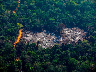 The  rainforest is disappearing quickly — and threatening Indigenous  people who live there