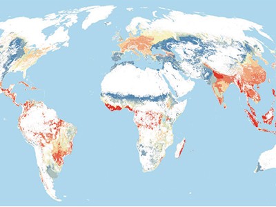 Prioritizing Where To Restore Earth’s Ecosystems