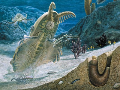 These bizarre ancient species are rewriting animal evolution