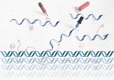 Szarka Patobiokemia | PDF