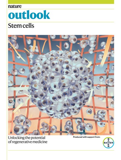 Stem-cell Start-ups Seek to Crack the Mass-Production Problem - Kytopen