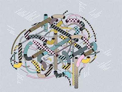 How the world's biggest brain maps could transform neuroscience