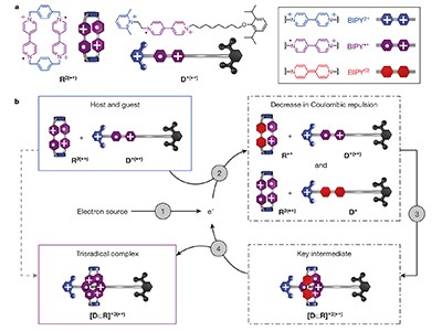 Self-assembly Of Molecules Triggered By Electricity