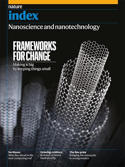 Nature Index 2022 Nano