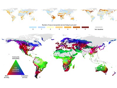 Global Soil Map Pinpoints Key Sites For Conservation