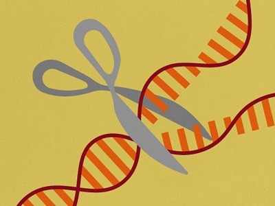 CRISPR tools found in thousands of viruses could boost gene editing