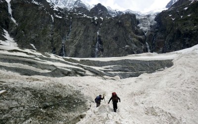 Los registros climáticos están escritos en los anillos de los árboles