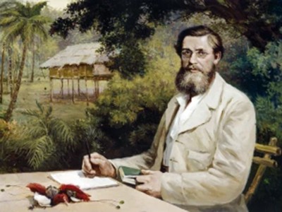 Alfred Russel Wallace’s first expedition ended in flames 2
