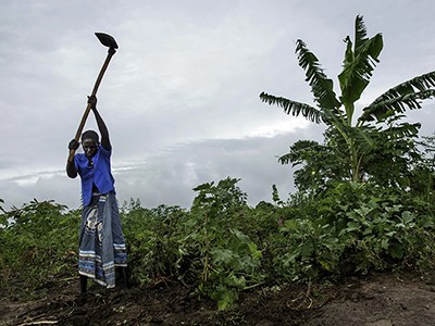 Sims-style ‘digital twin’ models can tell us if food systems will weather crises 2