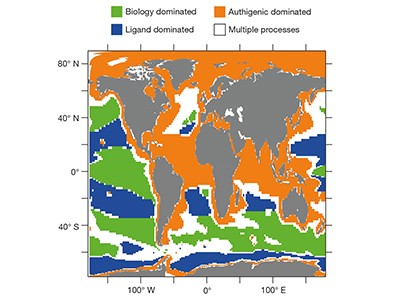 Improved Theory Of Ocean Iron Cycle Resolves Modelling Issues