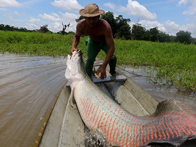 City-based scientists get creative to tackle rural-research needs 2