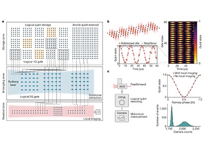 Mobile atoms enable efficient computation with logical qubits | Nature