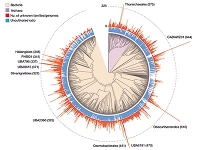 The journey to understand previously unknown microbial genes 1