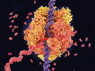Move over, CRISPR: RNA-editing therapies pick up steam 1
