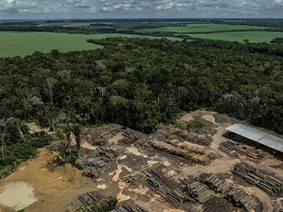 Brazil’s deforestation ‘police’ on strike — threatening climate goals 1