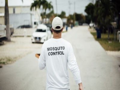 Brazil's record dengue surge: why a vaccine campaign is unlikley to stop it 3