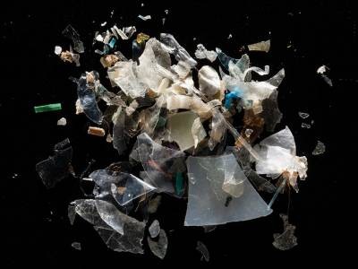 Landmark study links microplastics to serious health problems 1