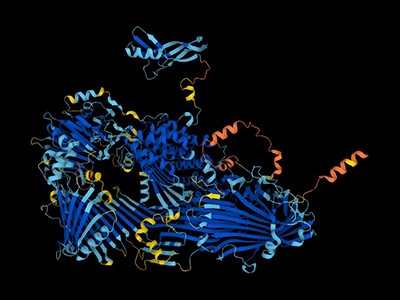 These ‘movies’ of proteins in action are revealing the hidden biology of cells 1