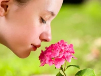 The biology of smell is a mystery — AI is helping to solve it 3