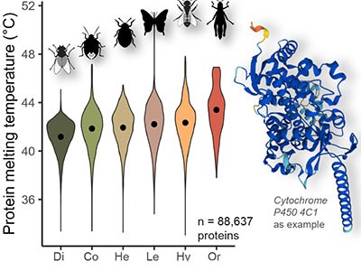 Humidity Gradient Insects Rising temperatures pose a threat to tropical insects