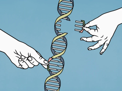 基因組先驅J. Craig Venter逝世：改變科學的叛逆生物技術專家