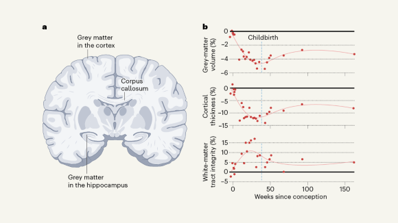 research analysis news