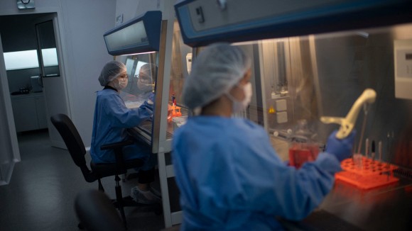 Hanya Separuh Penelitian Biomedis Brasil yang Berhasil Direplikasi Secara Akurat