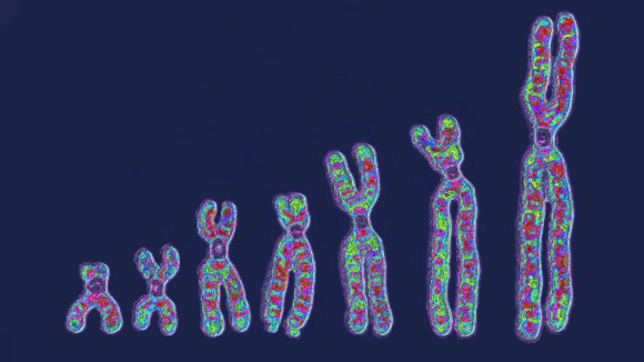 Mengungkap Mozaik Genetik: DNA Sel Tunggal Buka Rahasia Mutasi Tubuh Manusia