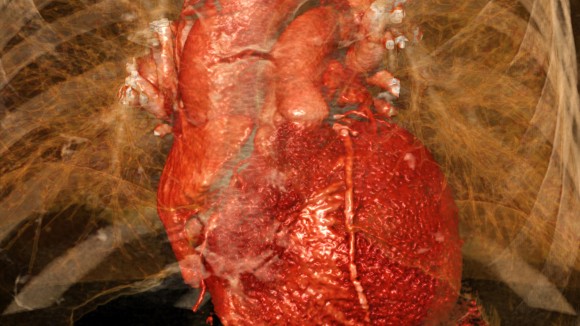 Bagaimana Otak dan Sistem Imun Perburuk Kerusakan Jantung Pasca Serangan