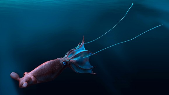 Octopus Raksasa Purba 'Kraken' Bisa Capai 19 Meter dan Menantang Predator Laut