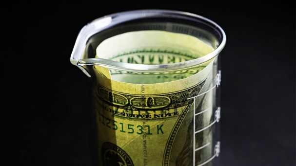 More than half of authors of leading research say funding is declining