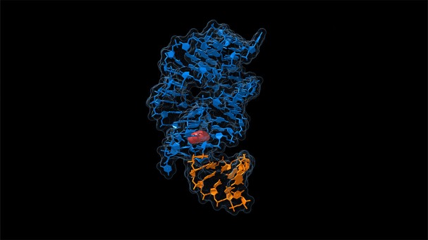 The dark horse of biology: how RNA is becoming a nanotool maker’s dream