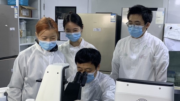 ‘Remarkably encouraging’: stem-cell treatments for autoimmune diseases enter new phase