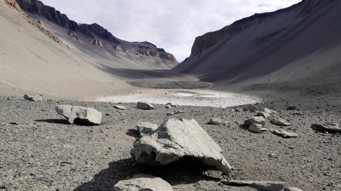 McMurdo Dry Valleys receive very little precipitation, but still support life.