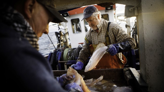 Two fishermen clean their catch on board a fishing trawler