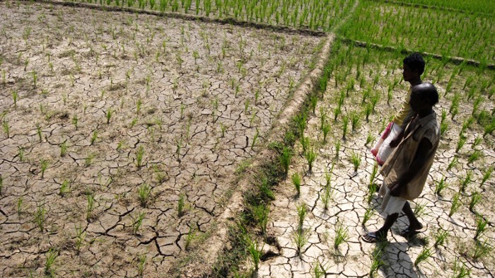 A warning of future years both hot and dry : Research Highlights