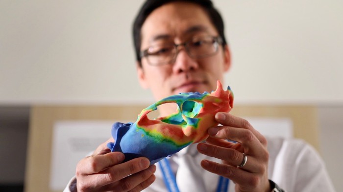 A man holds a 3-D printed model of a mongoose skull.