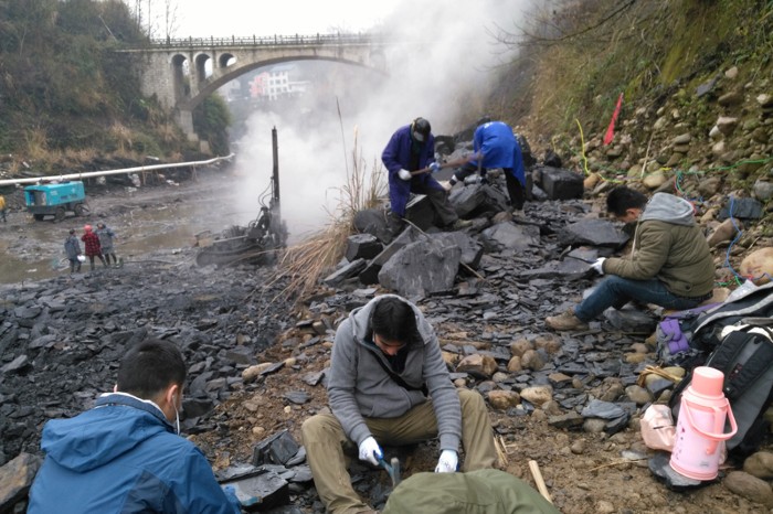 Digging up a Qingjiang Fossil on a bank of the Danshui River, near its junction with the Qingjiang River, Hubei Province, China.